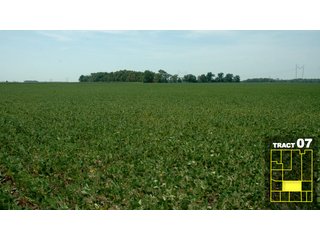 Property photo 38 - Land Auction 1035 Acres In 16 tracts - Farm Land - Sullivan Co. Indiana & Clark Co., Illinois
